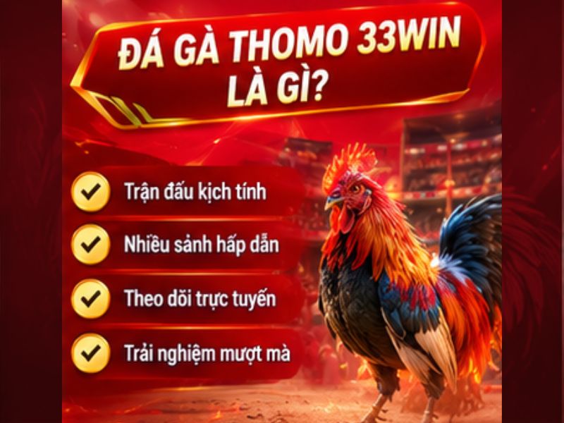 Đá Gà Thomo 33WIN Là Gì?