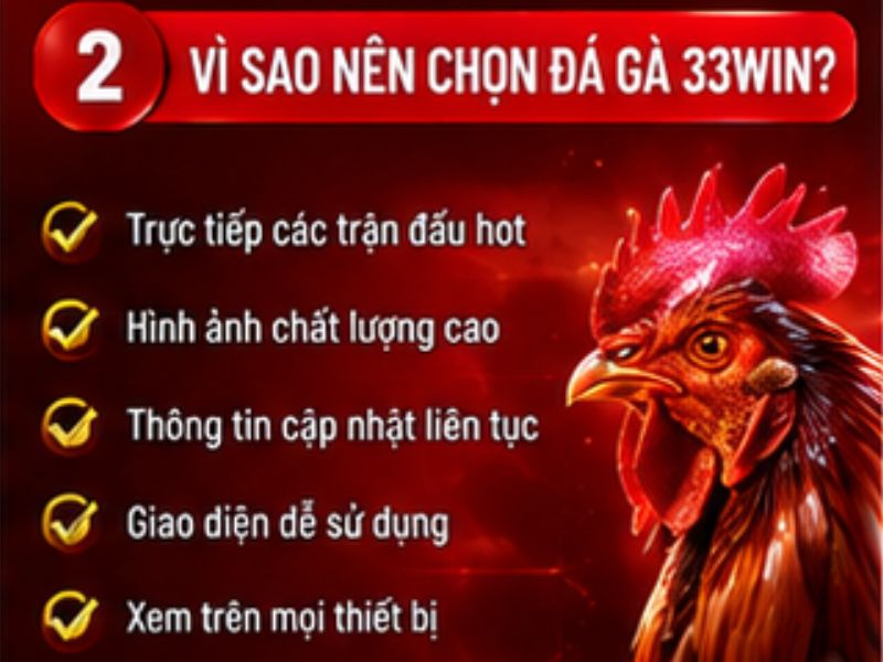 Đá gà 33WIN có gì hấp dẫn