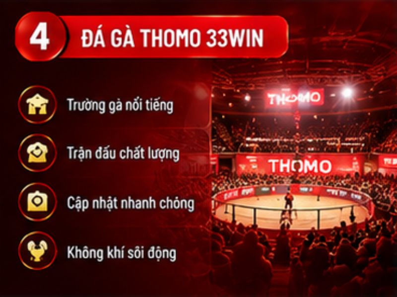Đá gà Thomo 33WIN