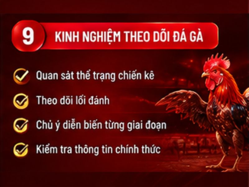 Kinh nghiệm theo dõi đá gà 33WIN