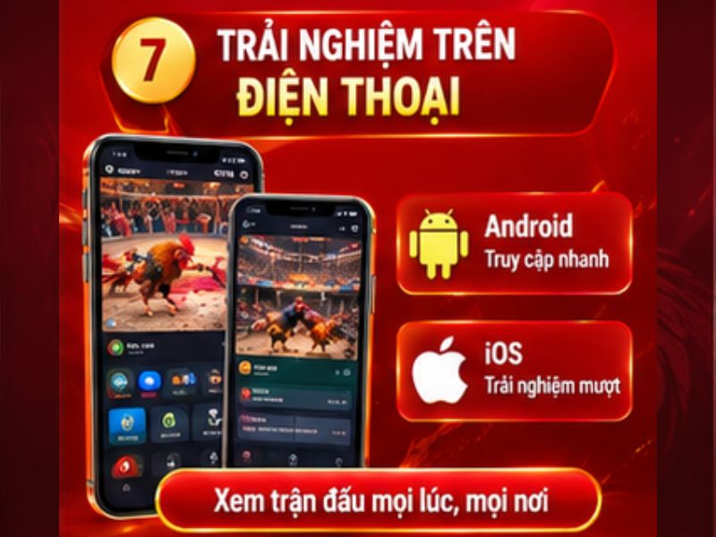Trải Nghiệm Đá Gà Thomo 33WIN Trên Điện Thoại
