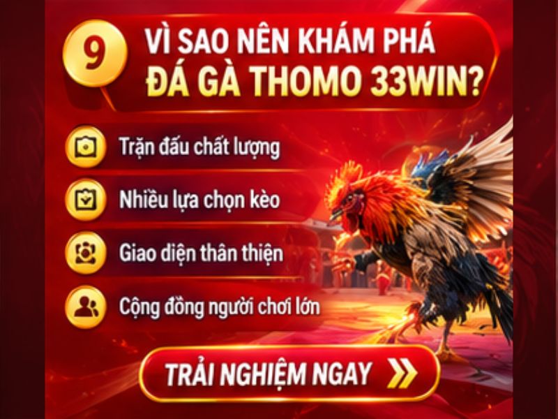 Vì Sao Nên Khám Phá Đá Gà Thomo 33WIN