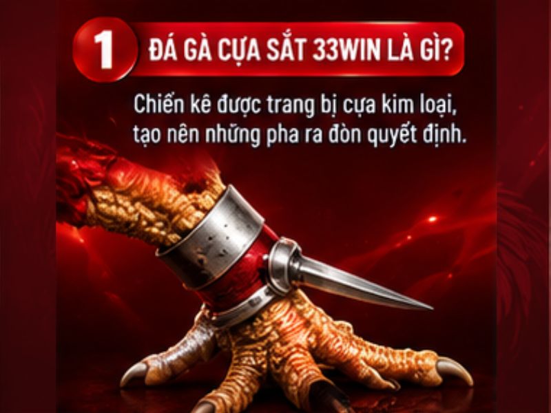 Đá gà cựa sắt 33WIN là gì