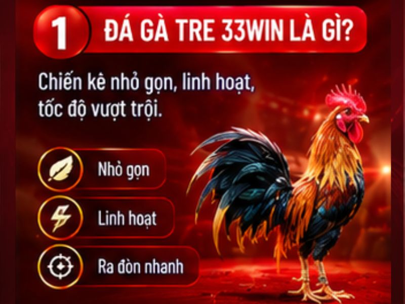Đá gà tre 33WIN là gì