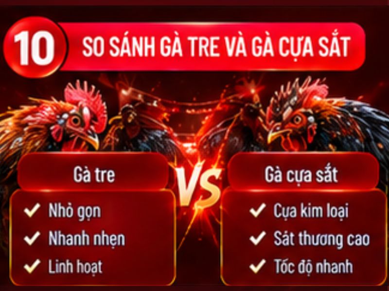Đá gà tre và đá gà cựa sắt khác nhau như thế nào