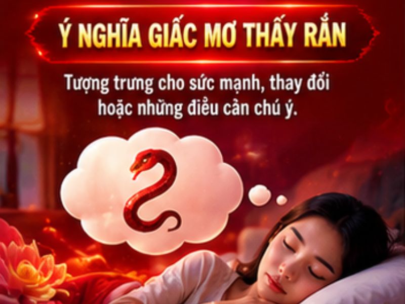 Giải Mã Giấc Mơ Thấy Rắn Có Ý Nghĩa Gì