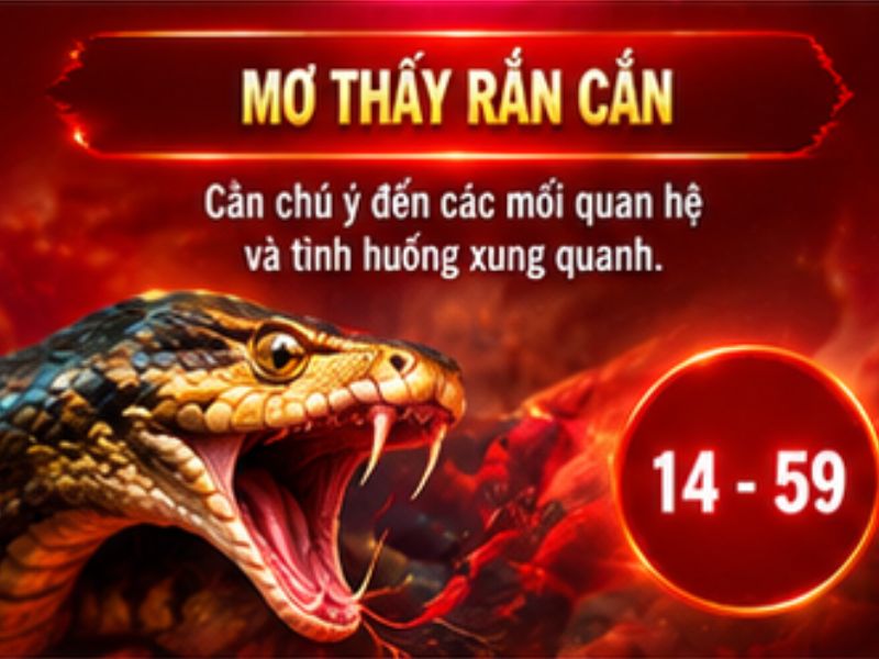 Mơ thấy rắn cắn