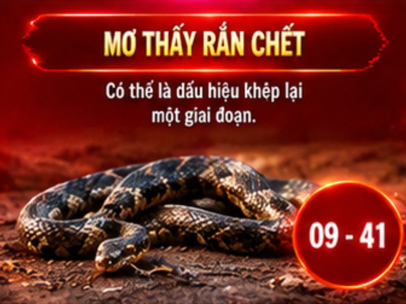 Mơ thấy rắn chết