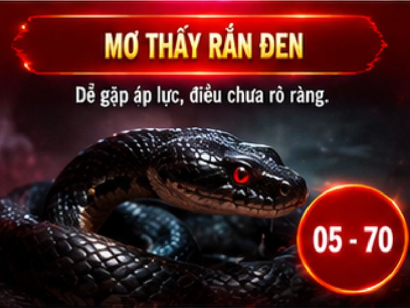 Mơ thấy rắn đen