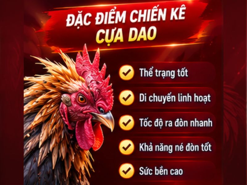 Những Điểm Cần Quan Sát Ở Chiến Kê