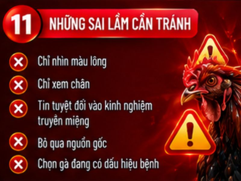 Những sai lầm khi lựa gà đá
