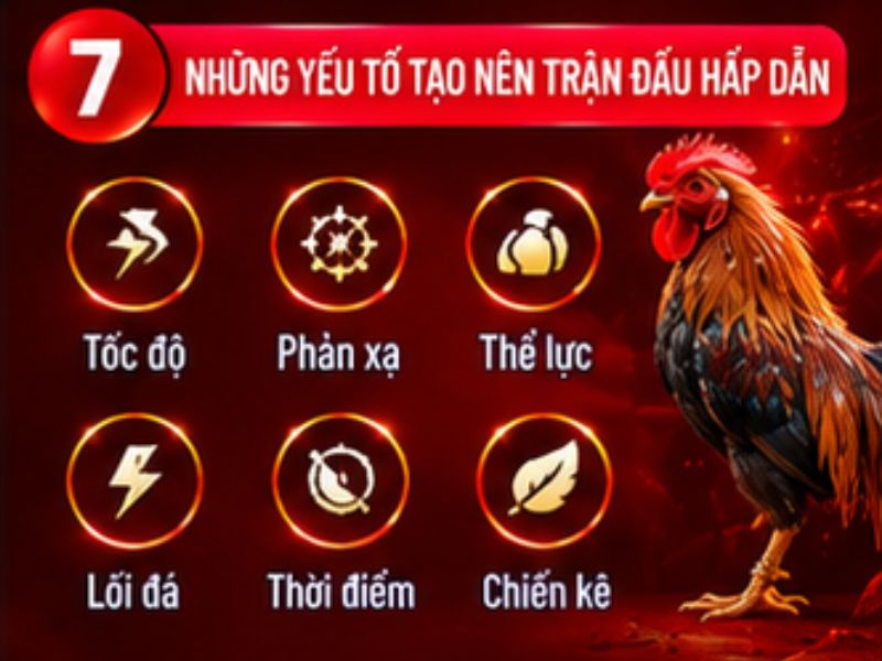 Những yếu tố tạo nên một trận đá gà tre hấp dẫn
