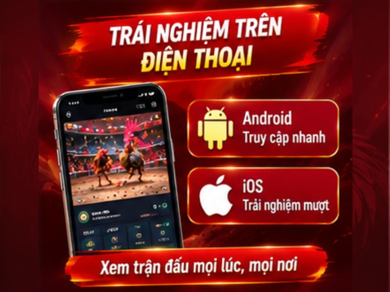 Trải Nghiệm Đá Gà Cựa Dao 33WIN Trên Điện Thoại