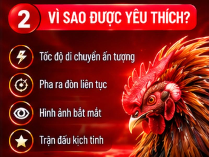 Vì sao đá gà tre 33WIN được yêu thích