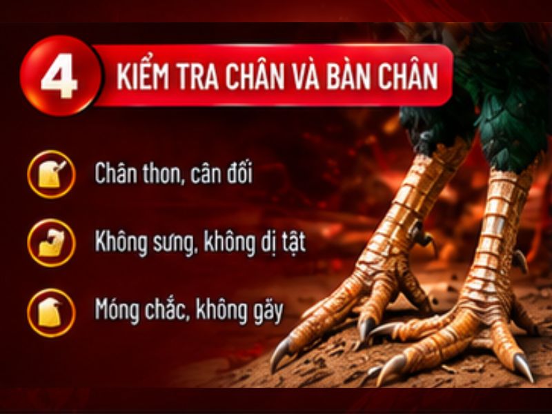 Xem chân và bàn chân